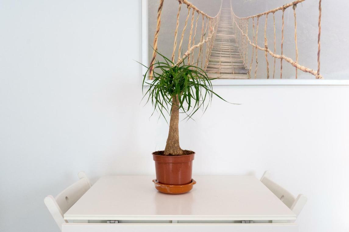 Ml1C-Prime Location Marble Apartment With Patios มาลากา ภายนอก รูปภาพ