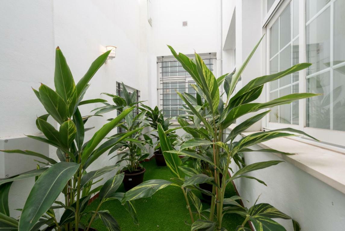 Ml1C-Prime Location Marble Apartment With Patios มาลากา ภายนอก รูปภาพ